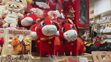 Año del Caballo - China